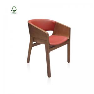 Colorful dining chairs