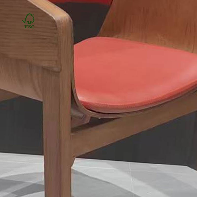 Colorful dining chairs