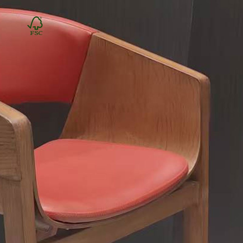 Colorful dining chairs