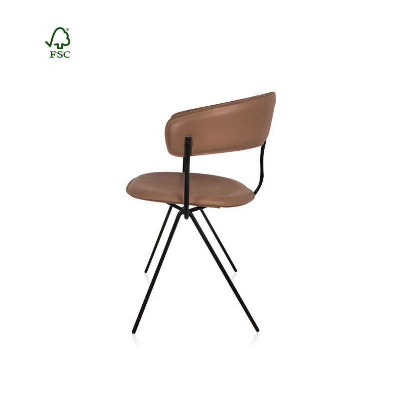 Modern dining chairs
