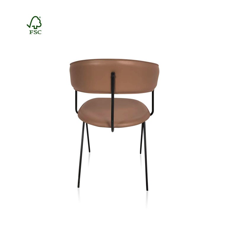 Modern dining chairs